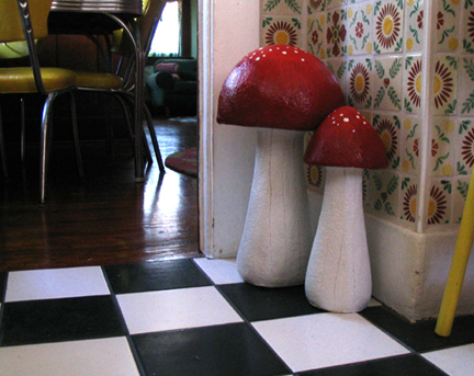 mushrooms in the kitchen